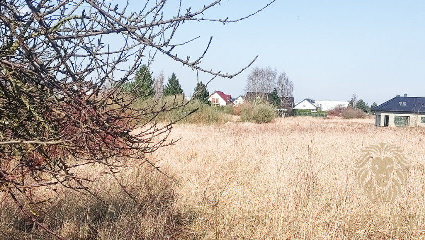 Działka Sprzedaż Mierzyn