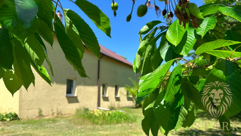 Dom Sprzedaż Borkowo Wielkie