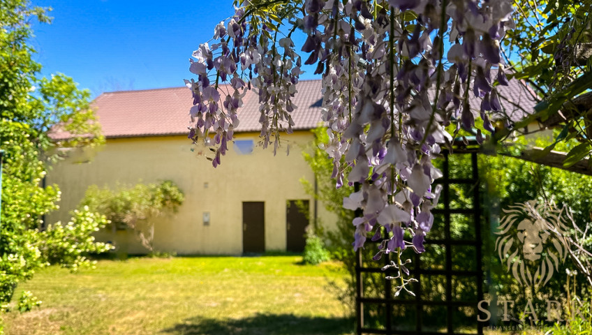 Dom Sprzedaż Borkowo Wielkie